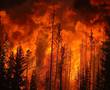 forest fire in Alberta
